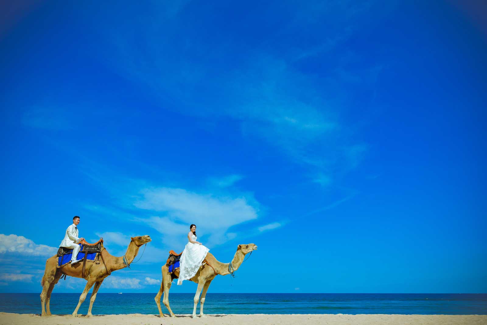 ラクダ＆馬に乗って撮影