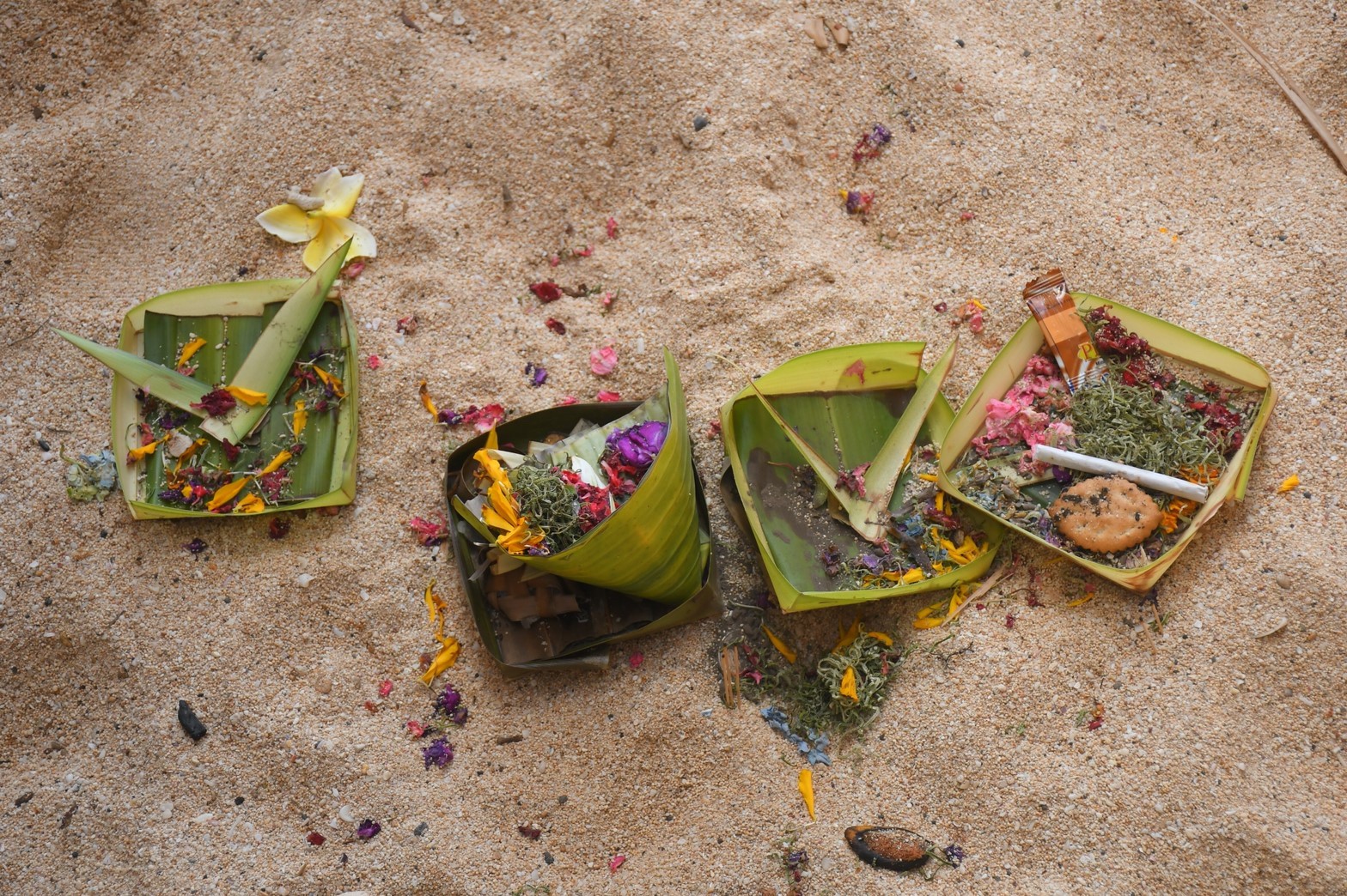 ビーチのチャナン