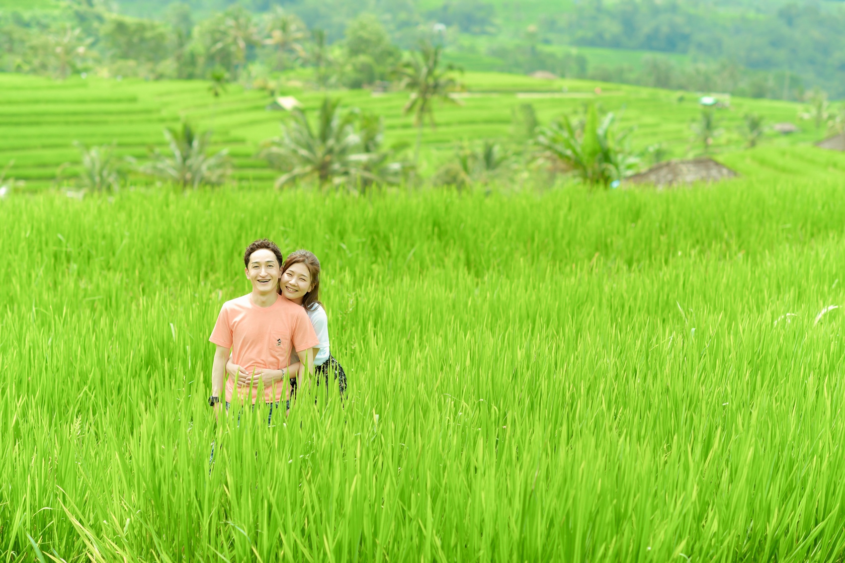 ジャティルイのライステラス