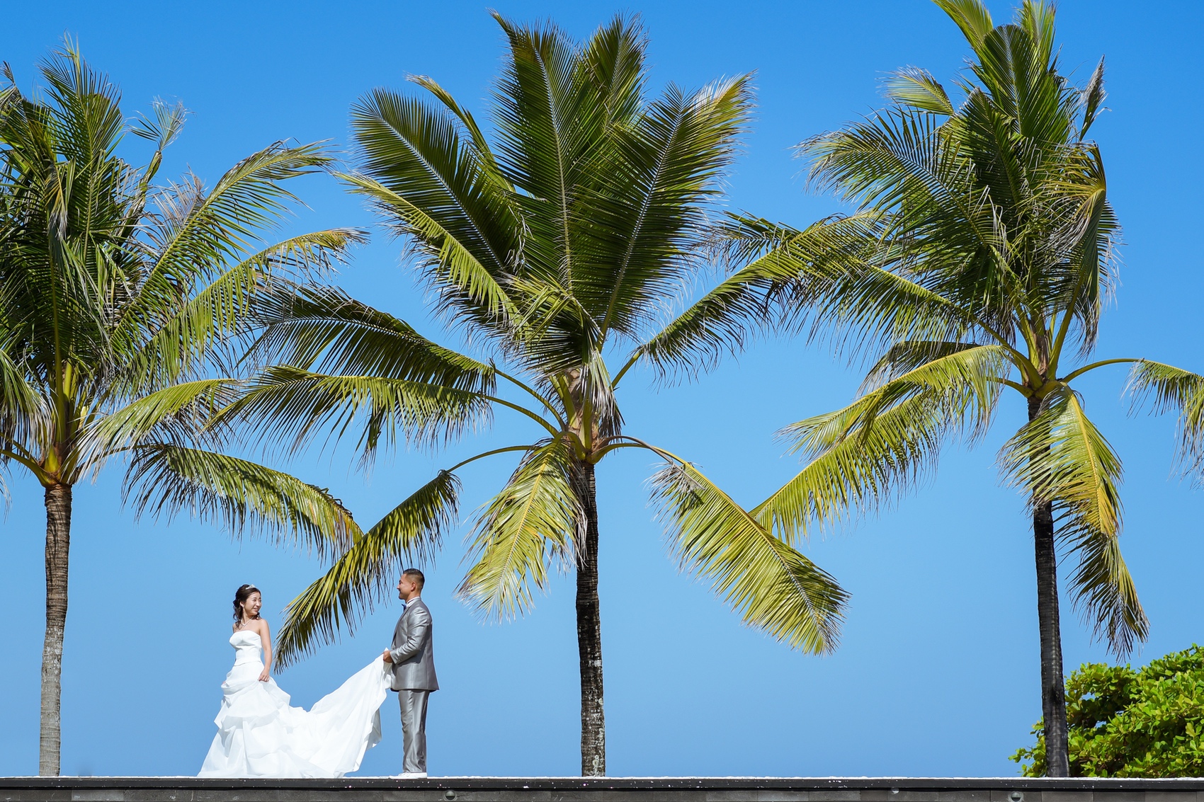 ヤシの木が並ぶ小道をお散歩