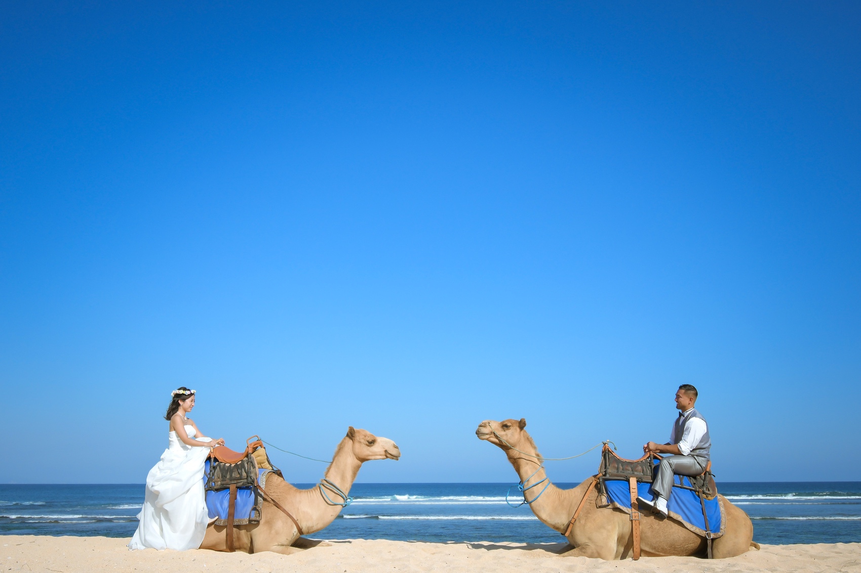 ラクダに乗ったままお座り