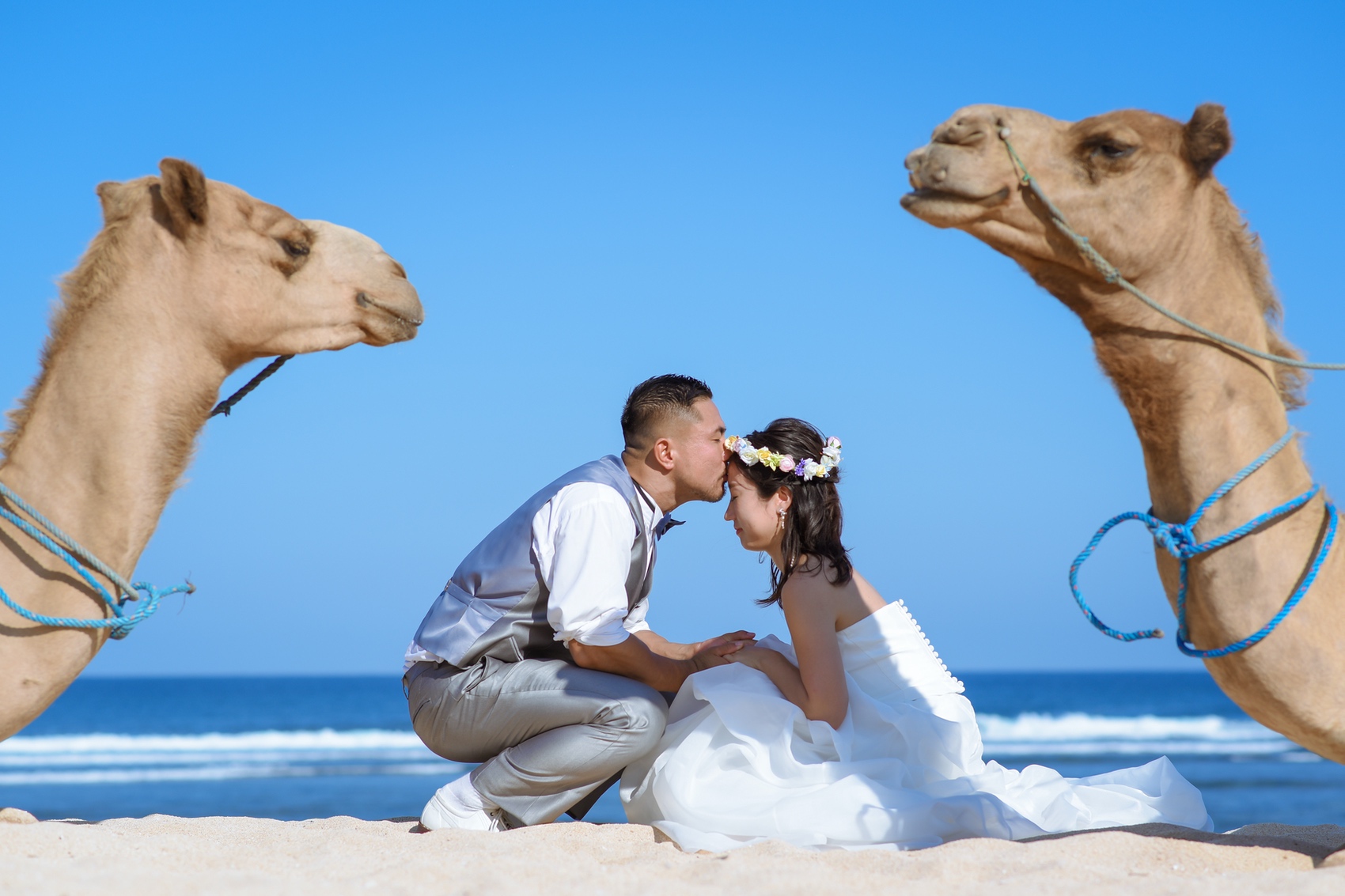 ラクダに見守られてキス