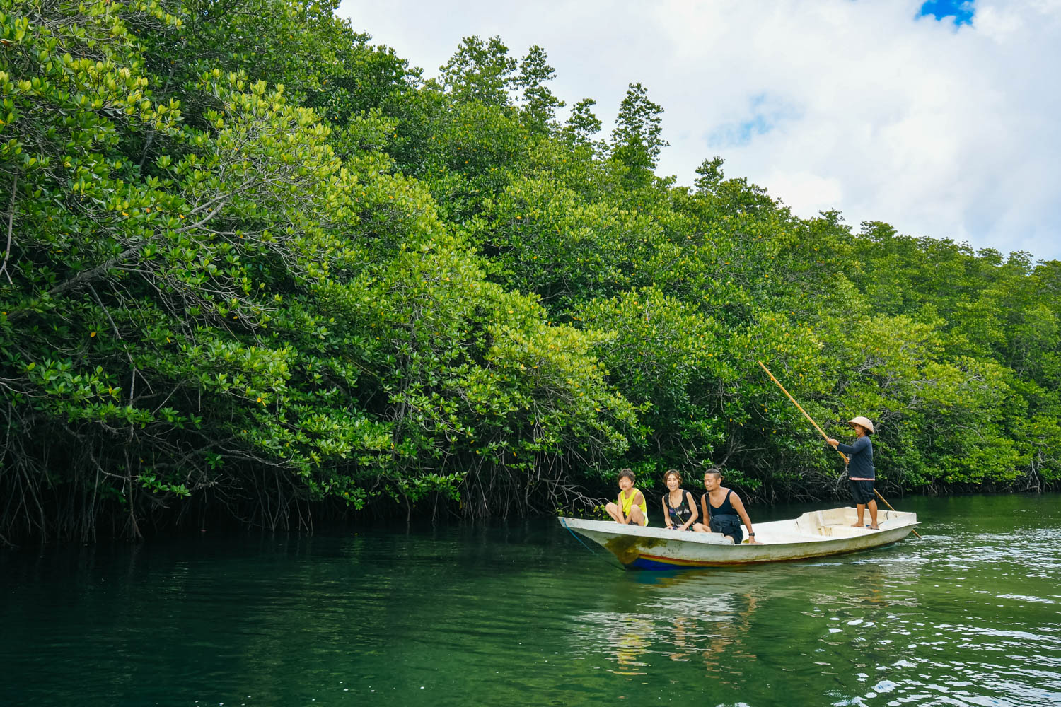 マングローブツアー
