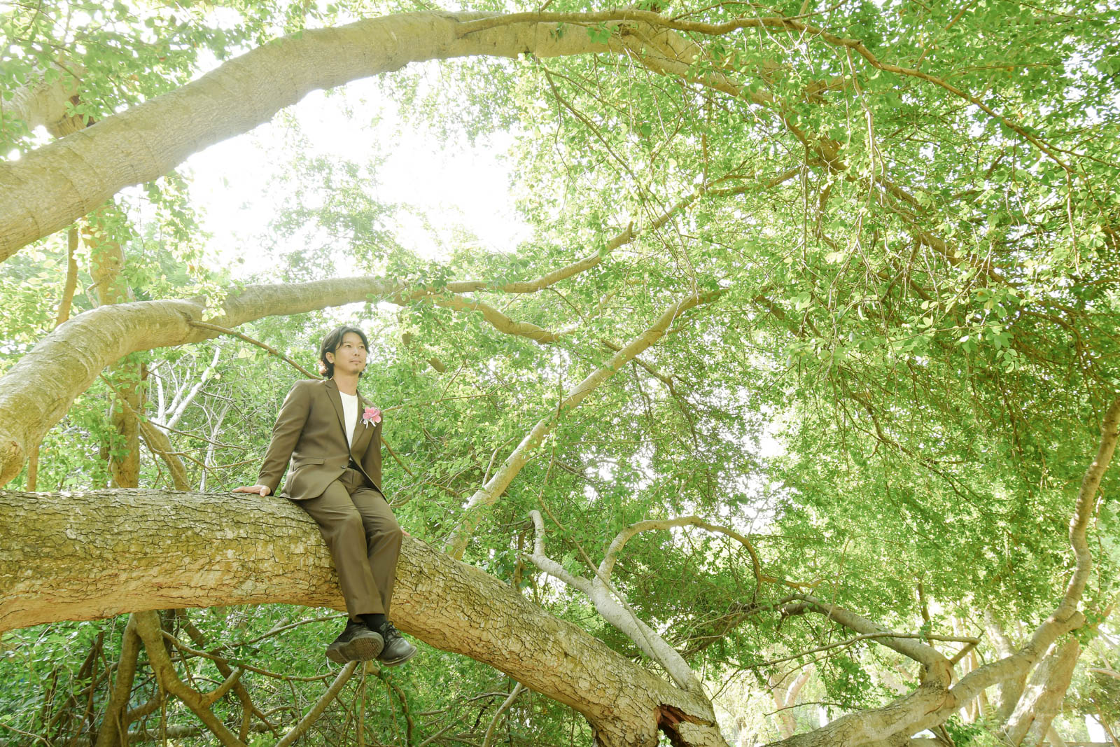 緑の木に腰掛けた新郎のナチュラルなポートレート写真